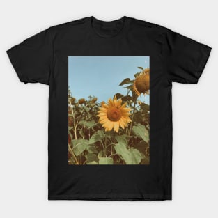 Sunflower T-Shirt